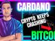 CRYPTO CRASHES MORE CAN BITCOIN amp CARDANO RECOVER