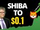 SHIBA INU COIN RUMOURS CONFIRMED NEW PARTNERSHIP FOR SHIBA INU