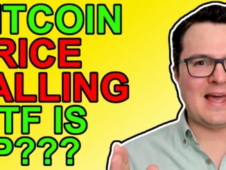 Bitcoin Price Falling Heres What You NEED To Know