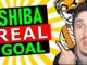 The Shiba MASTERPLAN REVEALED SHOCKING Shiba Inu Coin News