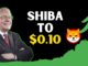 SHIBA INU COIN ANNOUNCED PLAN TO REACH 01 STEP BY
