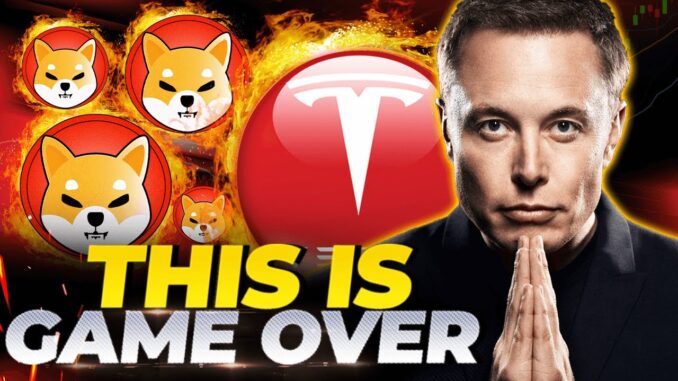 SHIBA INU COIN TESLA TO ACCEPT SHIBA INU TOKEN AS SHIBA INU COIN TESLA TO ACCEPT SHIBA INU TOKEN AS