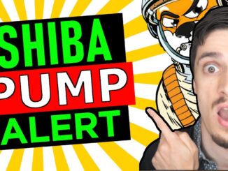 HIDDEN Shiba EVENT DATE REVEAL Shiba Inu Coin News