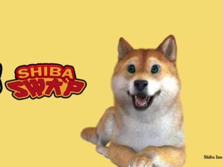 How to Buy Shiba And Explaining What is Shiba Swap