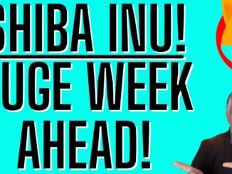 SHIBA INU THIS IS A HUGE WEEK FOR US