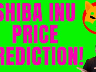 MAJOR SHIBA INU COIN PRICE PREDICTION