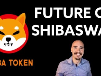 SHIBA INU NEWS FUTURE OF SHIBASWAP
