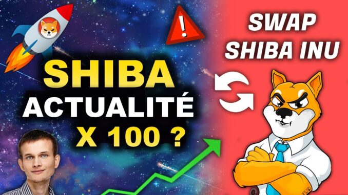 SHIBASWAP C39EST QUOI POURQUOI VITALIK BURN 50 DES SHIBA SHIBASWAP C39EST QUOI POURQUOI VITALIK BURN 50 DES SHIBA