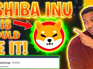HOW SHIBA INU COIN 001 IS POSSIBLE SHIBARMY WE ARE