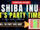 SHIBA INU IT'S PARTY TIME!!! Will The Virtual Party Save SHIB?