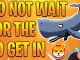 SHIBA INU WHALES ARE GETTING READY TO ENTER OUR TIME