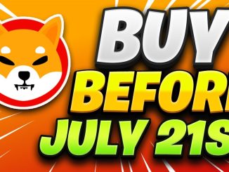 Load Up On SHIBA INU SHIB Tokens Before This Happens