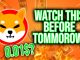 SHIBA INU COIN MASSIVE NEWS ITS DONE TOMMOROW IS THE