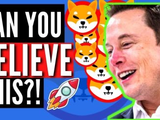 SHIBA INU COIN Why Elon Musk is the Real Ryoshi