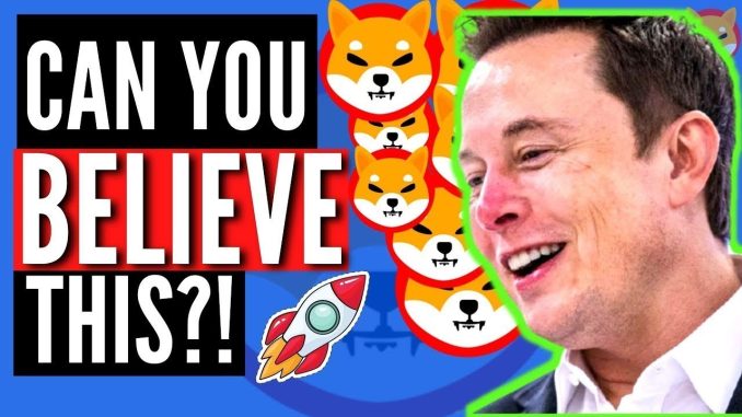 SHIBA INU COIN Why Elon Musk is the Real Ryoshi