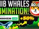 SHIBA INU CRYPTO BEING BOUGHT UP BY WHALES LET39S GO