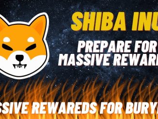 SHIBA INU TOKEN MASSIVE REWARDS FROM BURY SHIBASWAP REWARDS