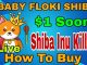 Baby Floki Shib Token How to buy Live