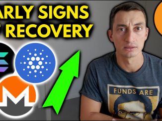 CRYPTO CRASH RECOVERY First Signs of Bitcoin Recovery