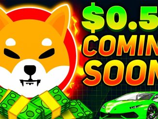 SHIBA INU TOKEN LEAKED INFORMATION TO HIT 050 IN 2021