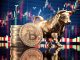 Best Coins to Buy Today | Which Crypto to Buy Now | Best Cryptocurrency to invest in 2021 #altcoins