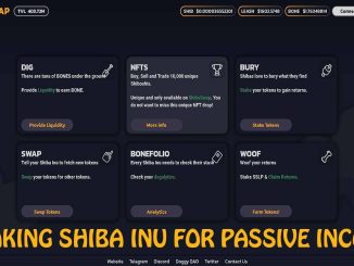 How to Stake Shiba Inu in ShibaSwap for passive income