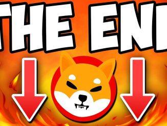 SHIBA INU LOSES THOUSANDS OF HOLDERS THE END EXPLAINED