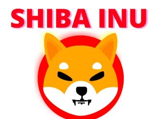 Shiba Inu He39s Leaving This is Coming