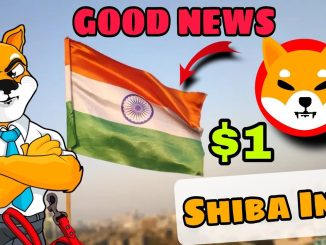 Shiba inu coin Big Update Crypto News Today in Hindi
