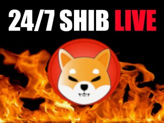 247 SHIB Burn Live All Revenue Burns Shiba Inu Coin