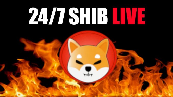 247 SHIB Burn Live All Revenue Burns Shiba Inu Coin