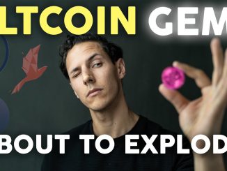 Altcoin Gems Ready to Explode in 2021 Get Rich