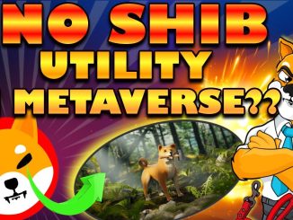 EXACTLY What Is The USE Of Shiba Inu Token In