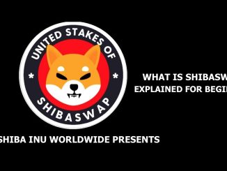 WHAT IS SHIBASWAP FULLY EXPLAINED FOR BEGINNERS