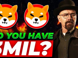 Shiba Inu Coin News Today DID YOU HAVE 3MIL