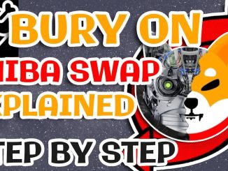 How to BURY on SHIBASWAP step by step guide for