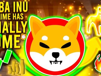 SHIBA INU TOKEN I39M SHOCKED ABOUT WHAT39S TO COME PHENOMENAL