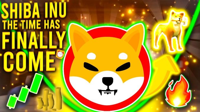 SHIBA INU TOKEN I39M SHOCKED ABOUT WHAT39S TO COME PHENOMENAL
