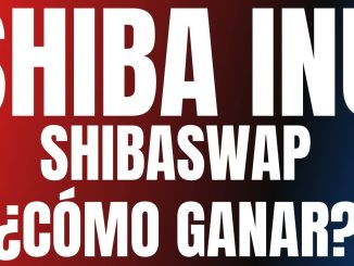 SHIBASWAP ¿Como funciona STAKING SHIBASWAP RECOMPENSAS BURY SHIBASWAP