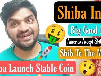 Big Good News Shiba Inu Launch Stable Coin Shi