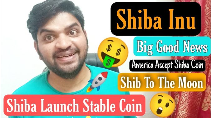 Big Good News Shiba Inu Launch Stable Coin Shi