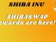 Shiba Inu Shibaswap rewards are here