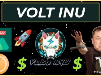 VOLT INU CRYPTO IS MOVING AT LIGHTSPEED I39M BUYING