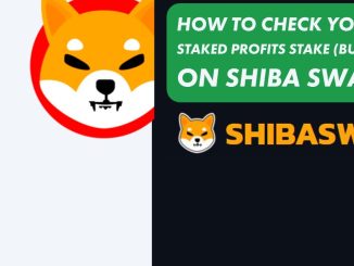 How to Check your Shibaswap Staked Return (Profits) on ShibaSwap