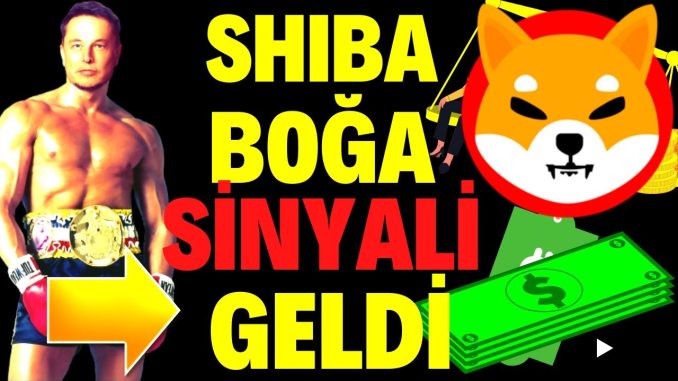SHIBA COİN BOĞA YÜKSELİŞİ BAŞLAYACAK MI ?- | SHIBA TEKNİK ANALİZ | #SHIB