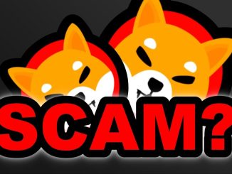 SHIBA INU COIN BIGGEST ANNOUNCEMENT IS A SCAM?