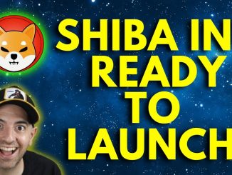 SHIBA INU COIN - Heating Up! PLUS A NEW 10X POTENTIAL COIN! SHIBA INU COIN PRICE PREDICTION