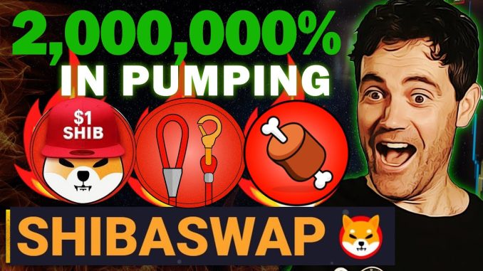 Shibaswap Announced Shiba Inu Coin Will Skyrocket To $0.1 After this!!