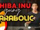 Why Shiba Inu's Been Going Parabolic 🚀 ShibaSwap, Robinhood, Founders Locked Coins, Vitalik & Musk
