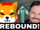 Shiba Inu Coin | Why #SHIB Could See A Quick Rebound!